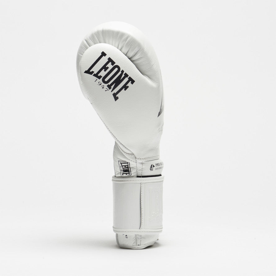 leone 10 boxing glove