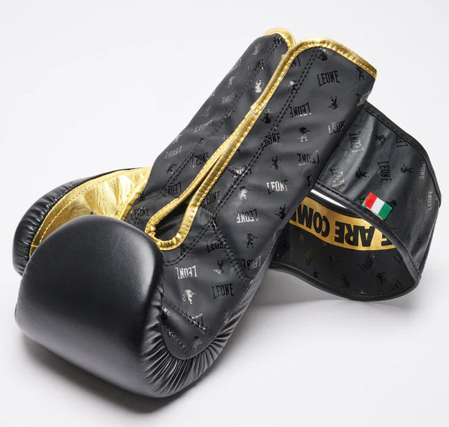 قفازات الملاكمة ليون ملاكمة