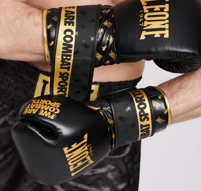 قفازات الملاكمة ليون ملاكمة