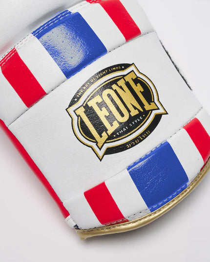 boxing gloves leone w1 قفاز ملاكمة