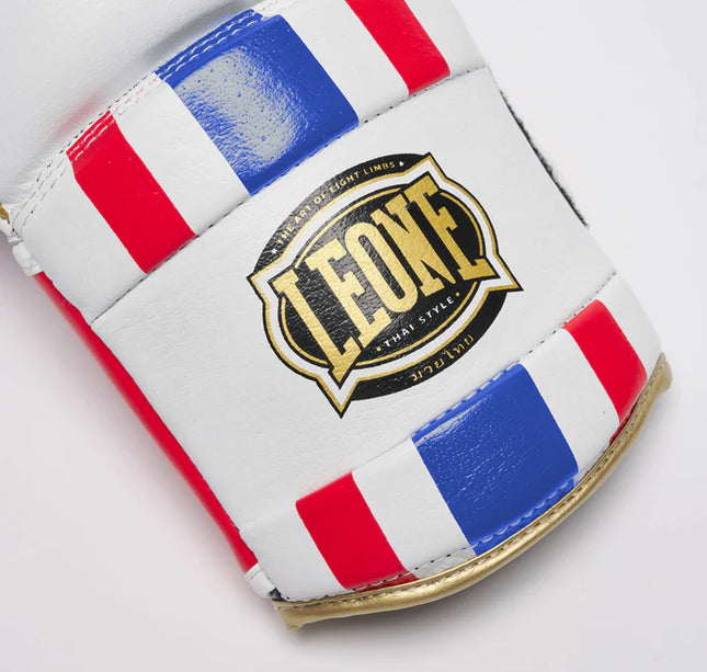 boxing gloves leone w1 قفاز ملاكمة