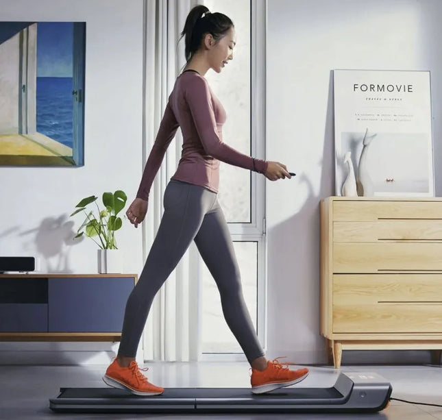 C2 جهاز المشي كينج سميث القابل للطي