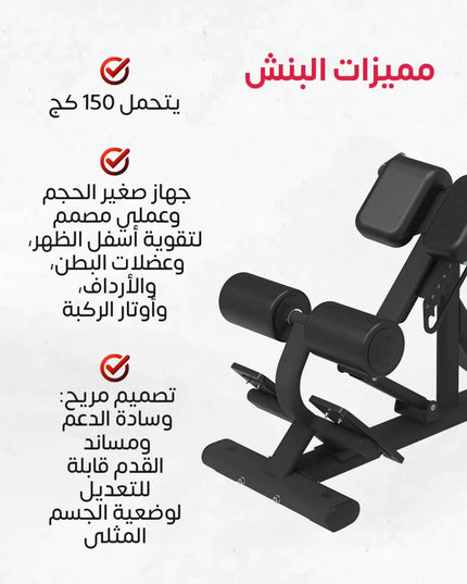 بنش تمارين الظهر