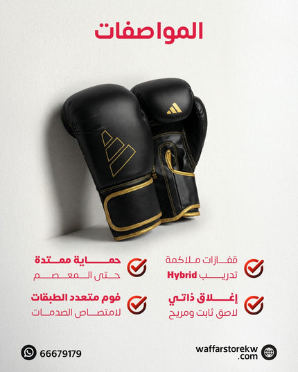 جلافز ملاكمة هايبرد
