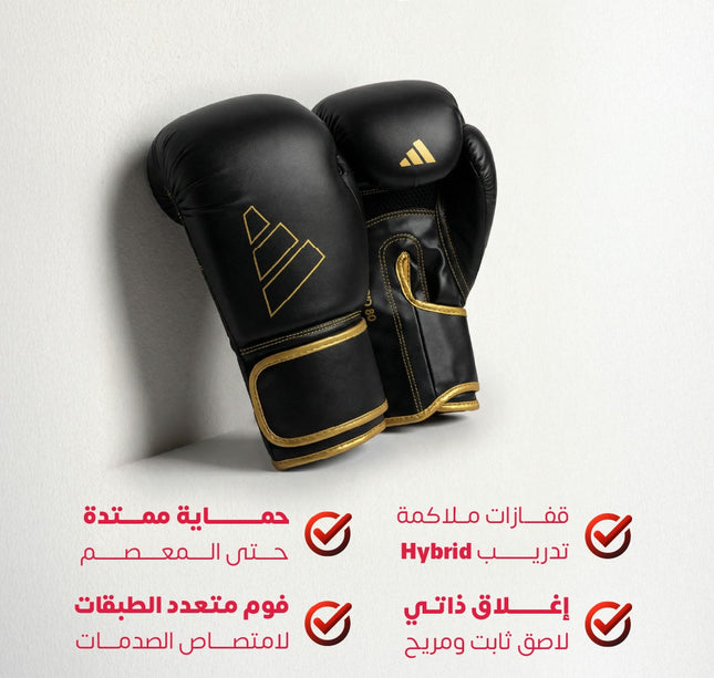 جلافز ملاكمة هايبرد