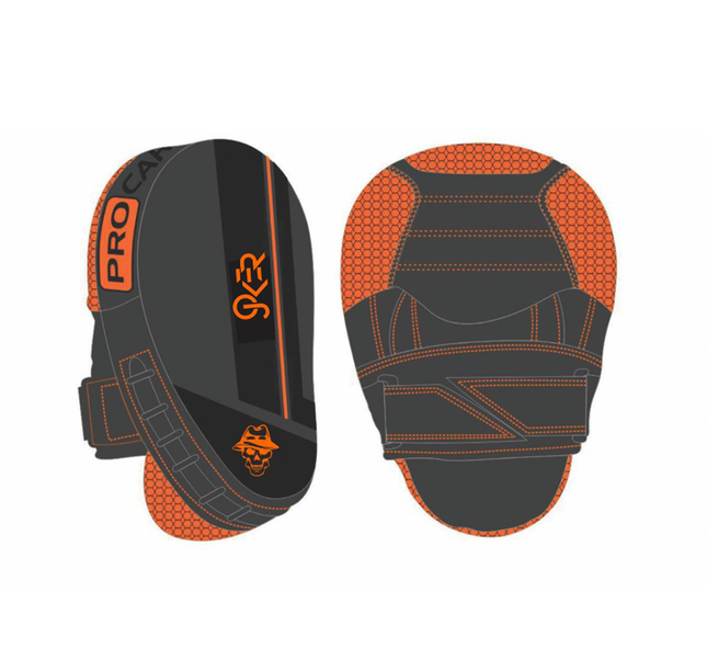 Boxing punch mitts