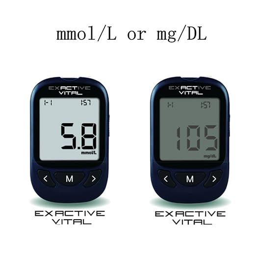 Blood sugar meter 