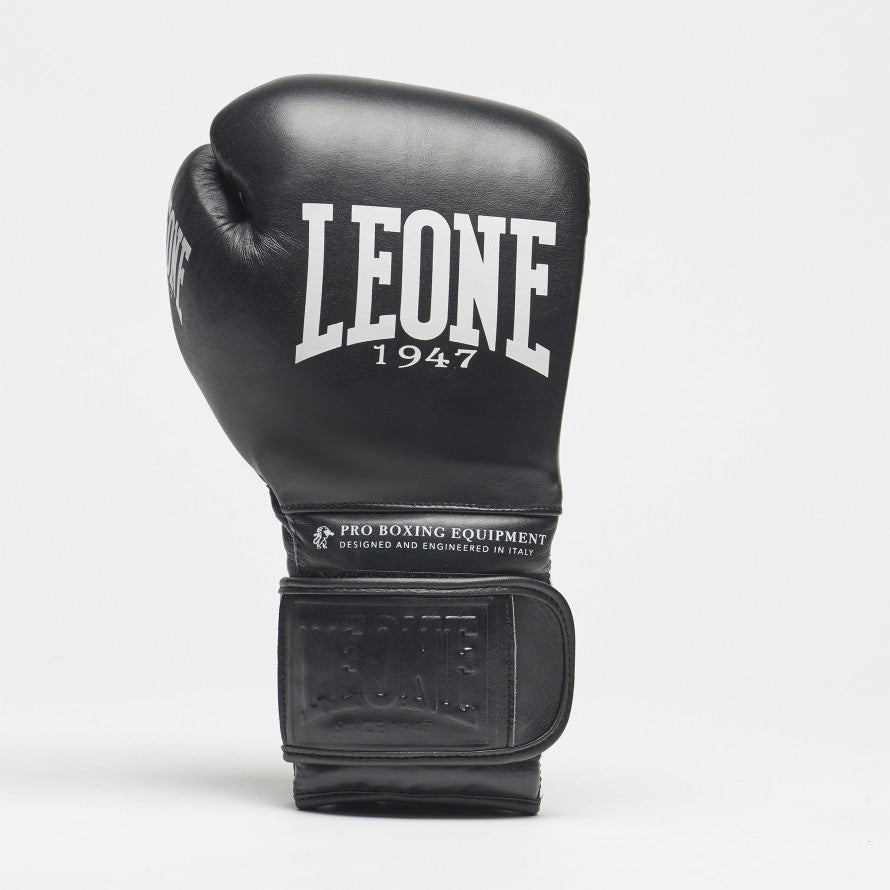 leone 10 boxing glove